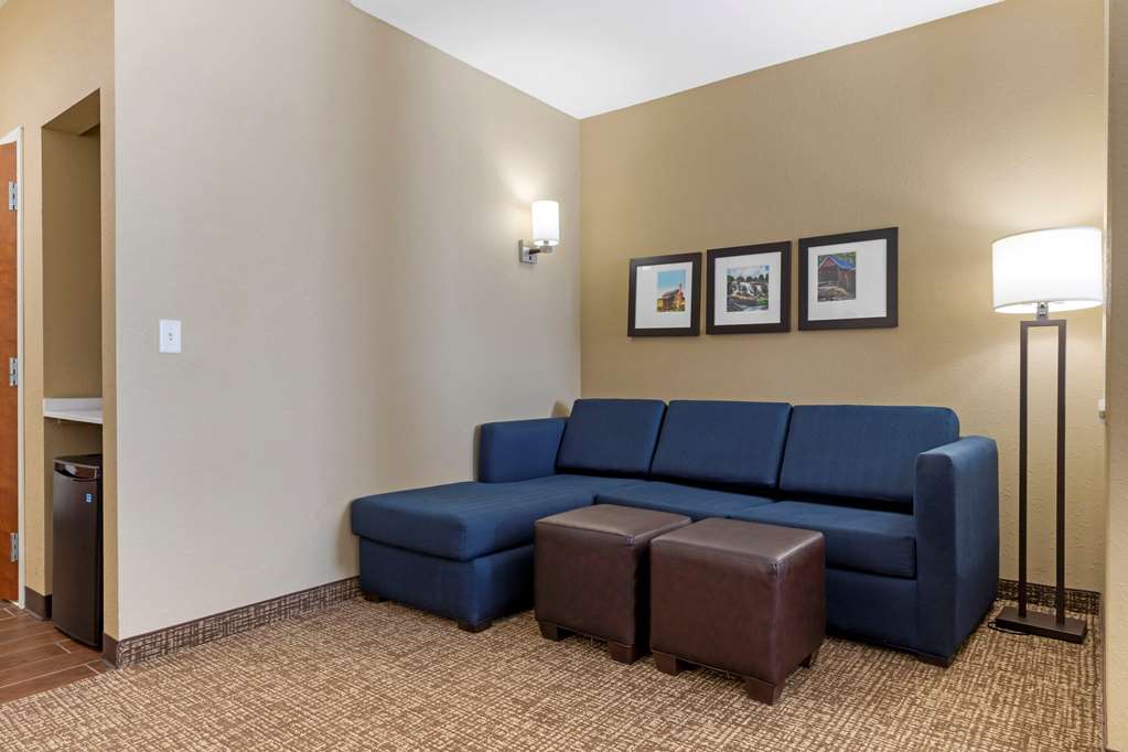Comfort Suites Piedmont Greenville South - photo 15