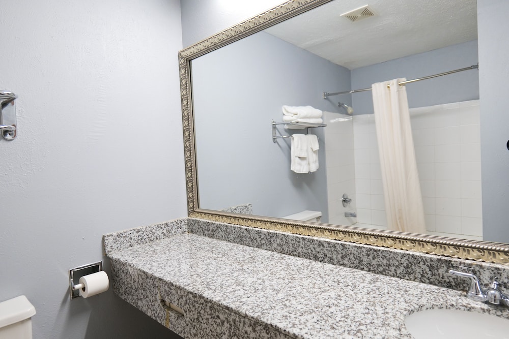 Baymont by Wyndham Flint Airport North - photo 42