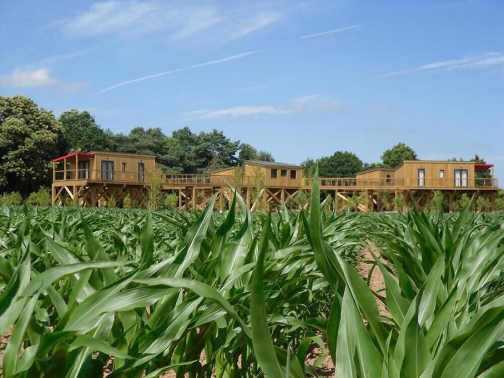 Domaine de Kervallon — hotel in Caro