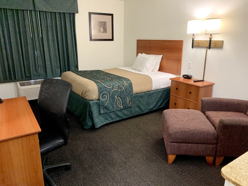 Oak Tree Inn - photo 13