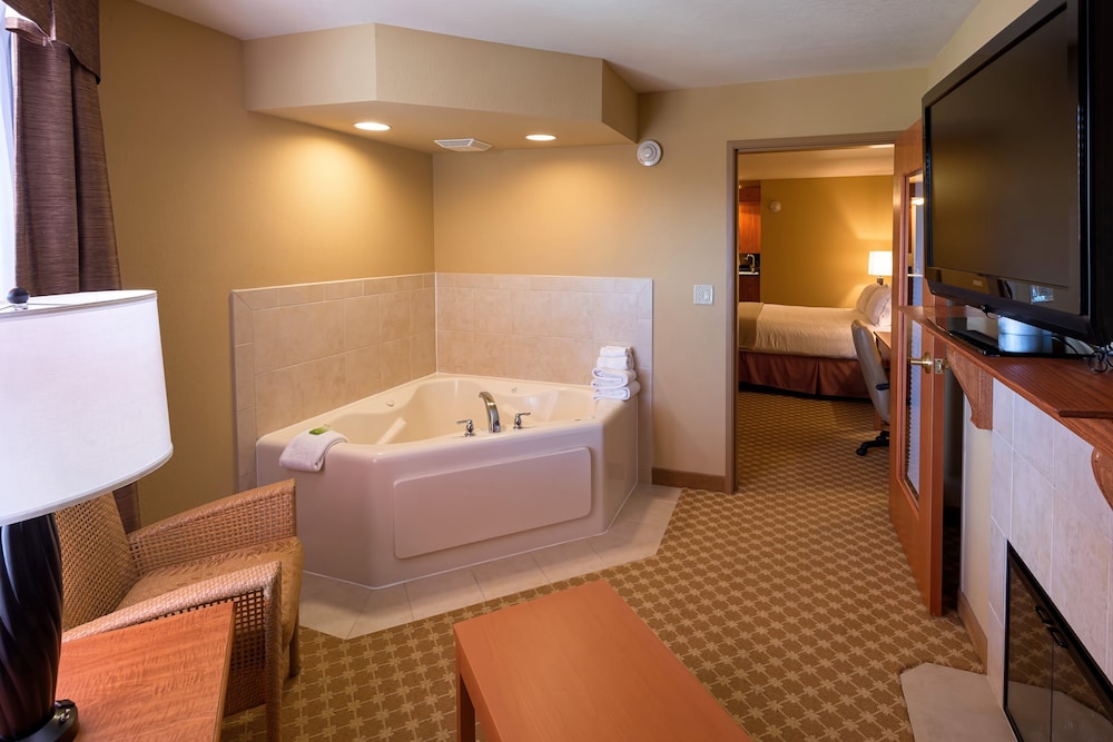 Holiday Inn Express & Suites Chicago West Roselle by IHG - photo 13