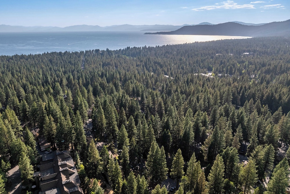 Tahoe Dreamin by Avantstay Central Location - photo 33