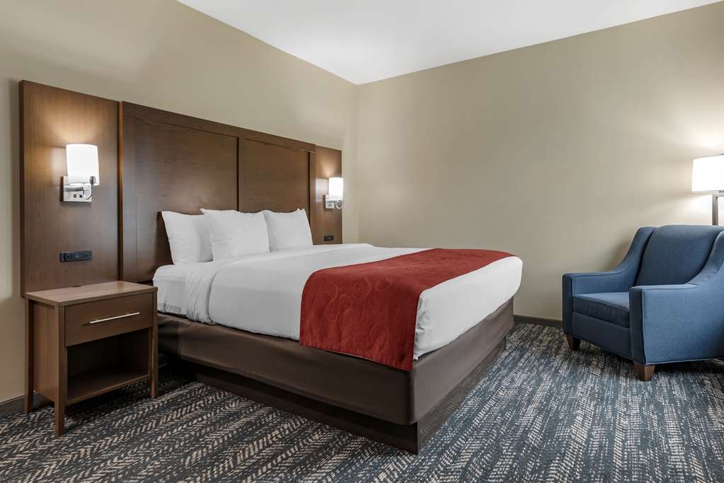 Comfort Inn & Suites Downtown near University - photo 42