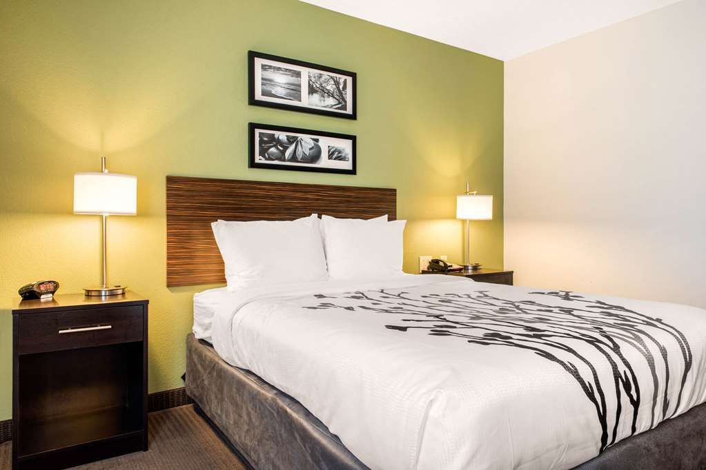 Sleep Inn & Suites Columbus South - photo 18