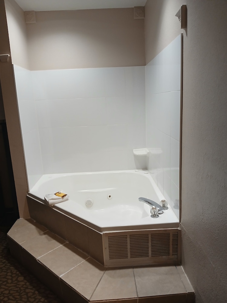 Best Western Plus Bradenton Hotel & Suites - photo 13