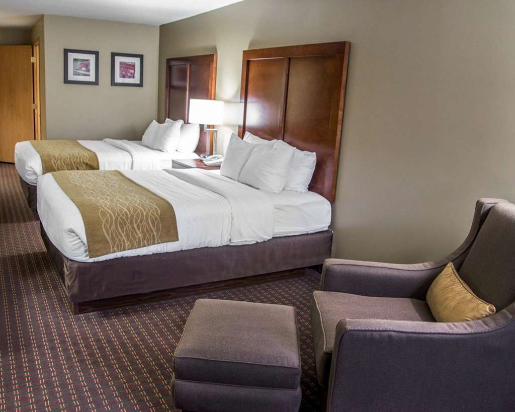 Comfort Inn & Suites Riverview near Davenport and I 80 - photo 14