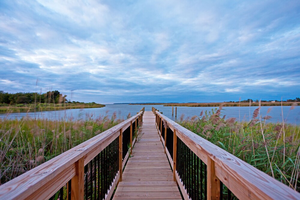 Holiday Inn Express Annapolis East Kent Island by IHG - photo 43
