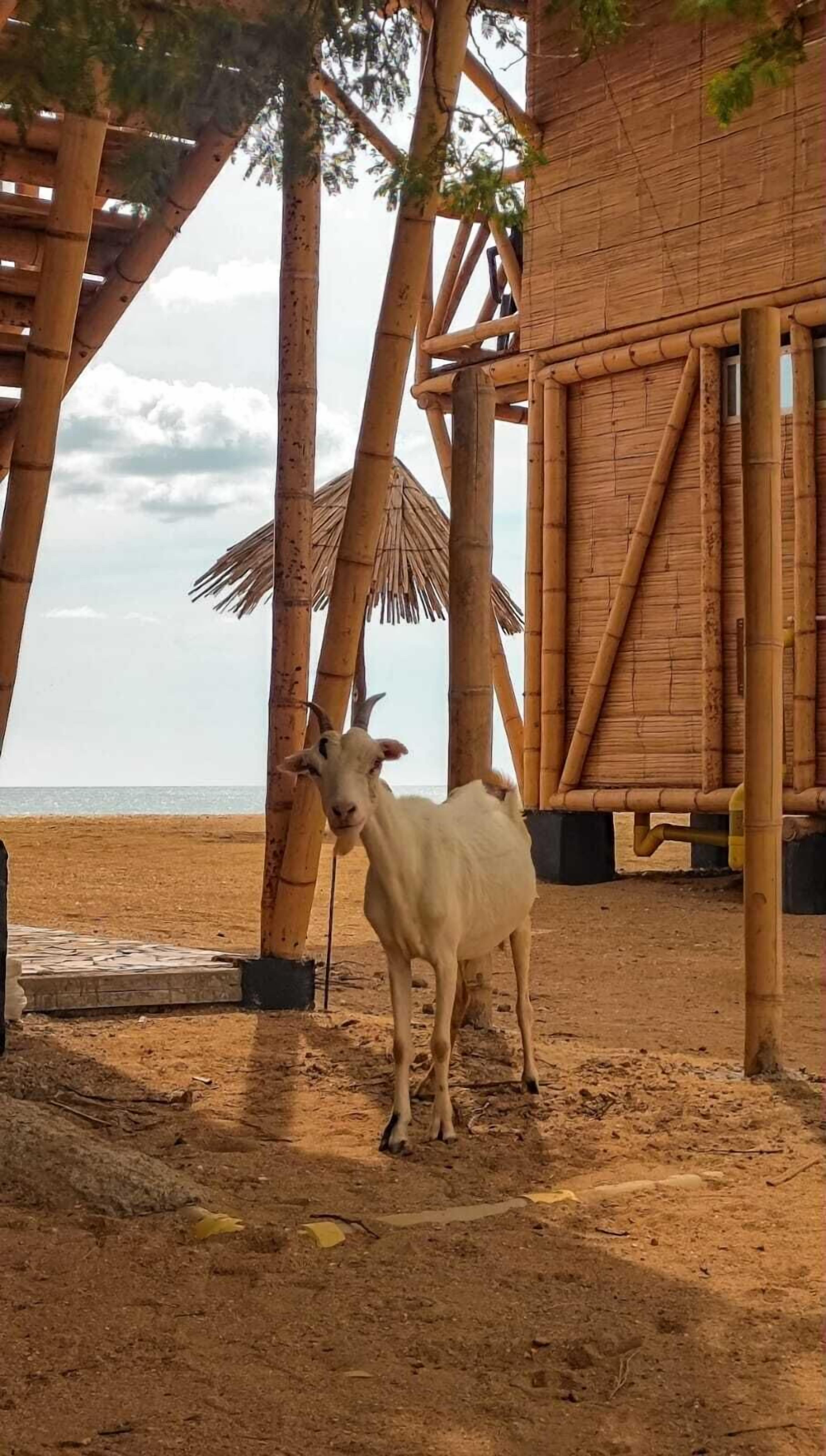 Hotel El Pilon Cabo De La Vela — Uribia
