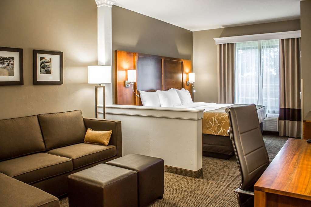 Comfort Suites Hartville North Canton - photo 16