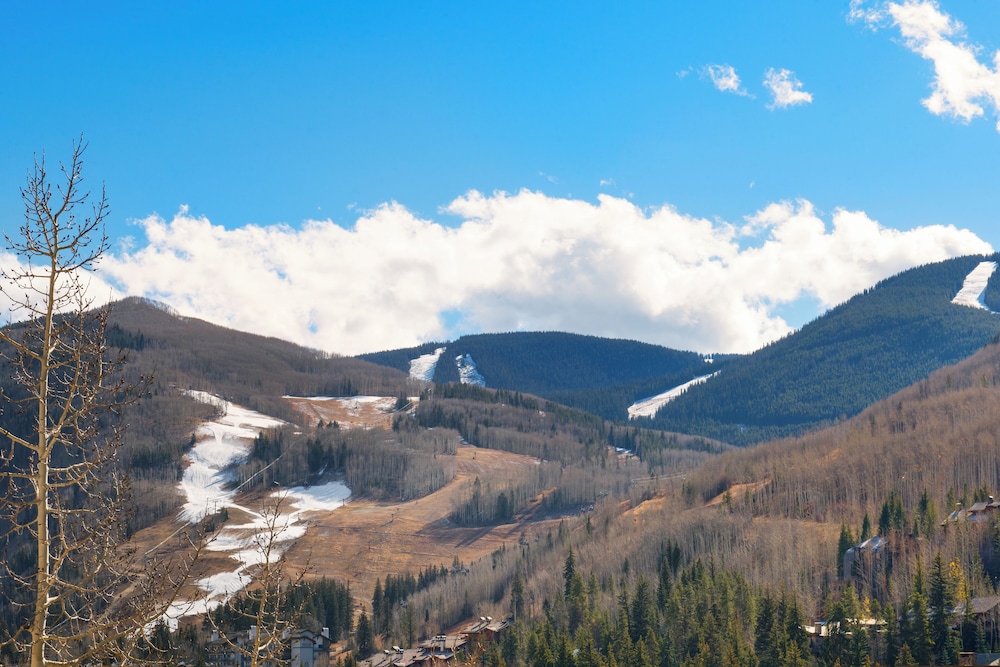 Evergreen Lodge at Vail - photo 59