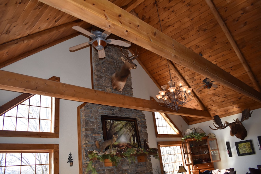 Bear Creek Lodge Cabin Resort - photo 5