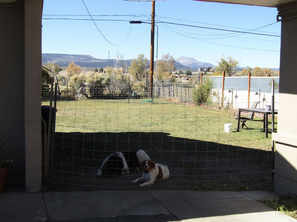 Lamplighter Lodge - photo 32