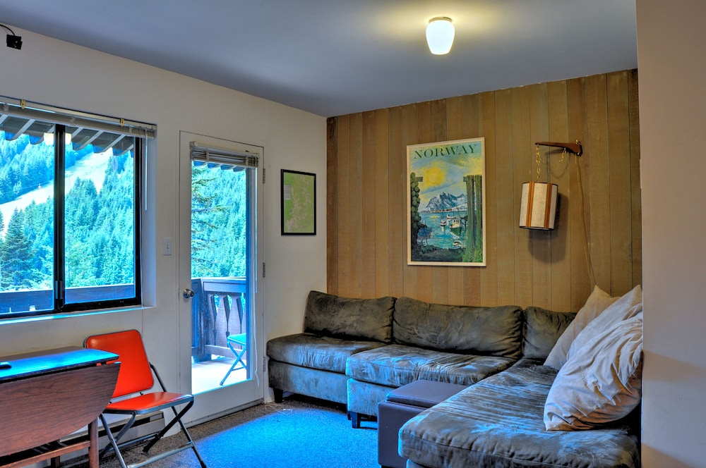 Crystal Chalets Condominiums at Crystal Mountain Ski Resort - photo 79