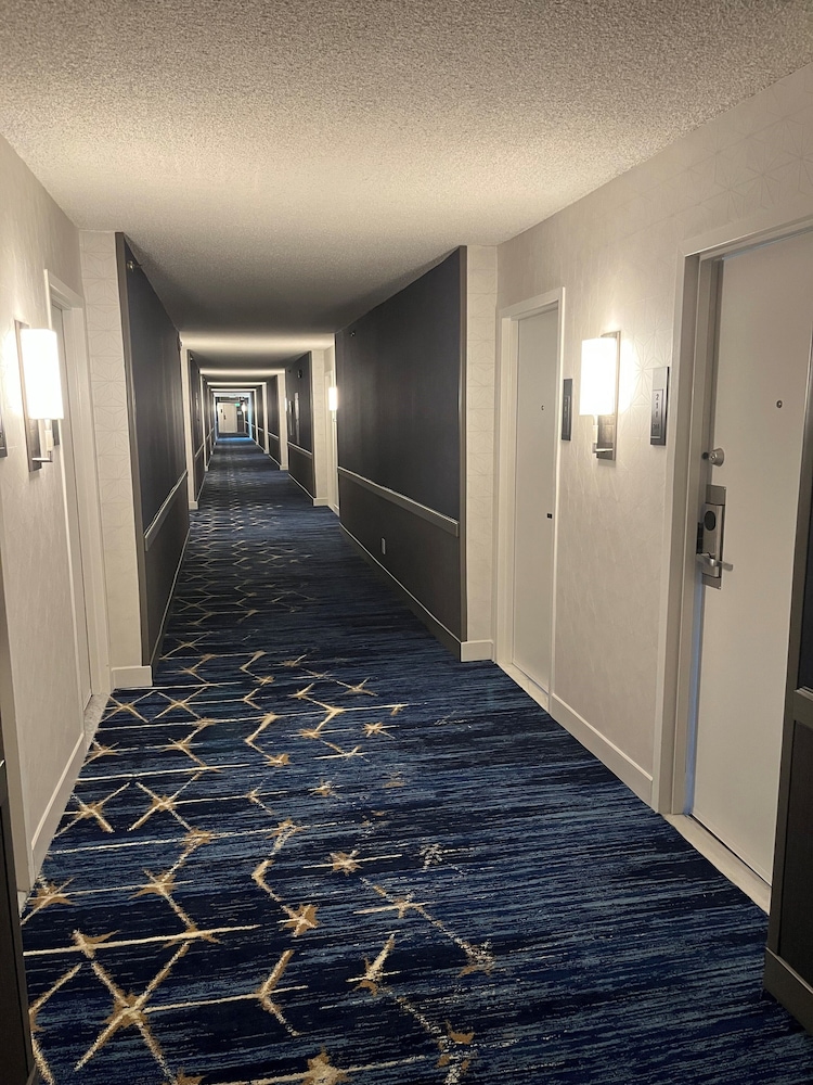 DoubleTree By Hilton Baltimore North Pikesville - photo 73