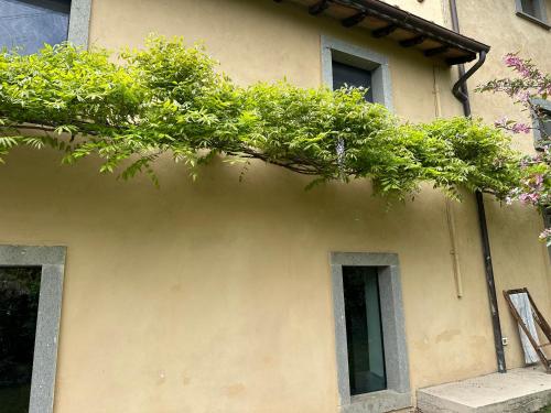 La Casa Di Zoe Artandtravel — 4-Star Luxury Hotel in Montefiascone, Italy