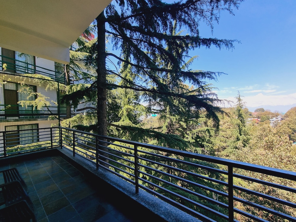 Stylia Suites — Dalhousie — photo 4