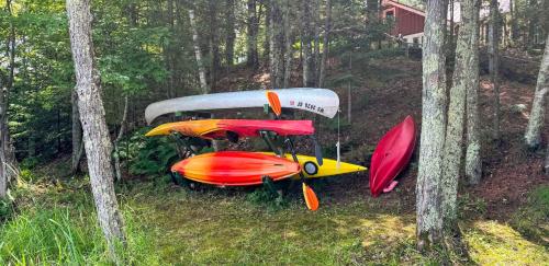 Brandy Bay Hideaway: Pet Friendly Retreat - photo 39