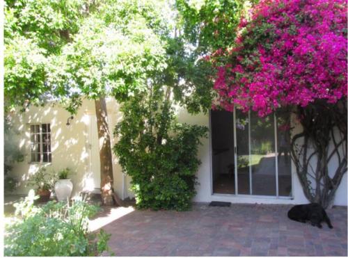 Home On Uitvlugt Peaceful leafy garden flat with sunny lounge