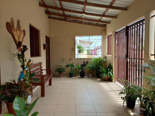 Festival de Parintins in Parintins, Brasil