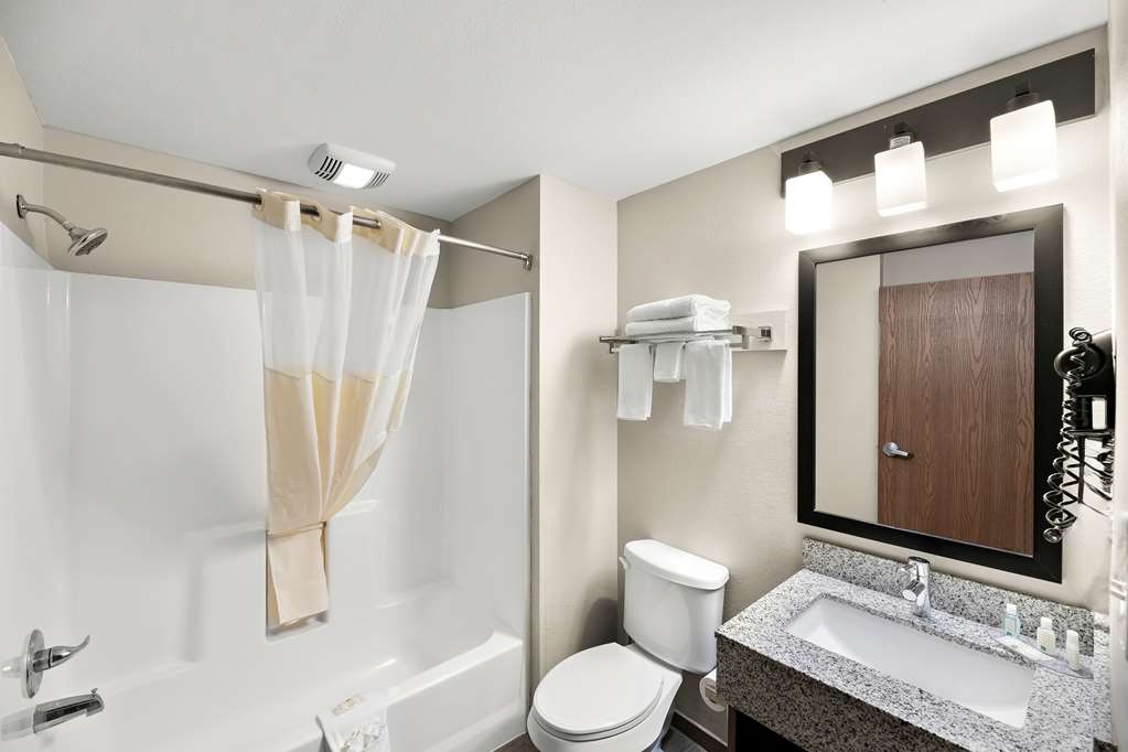 Quality Inn & Suites Big Spring - photo 28