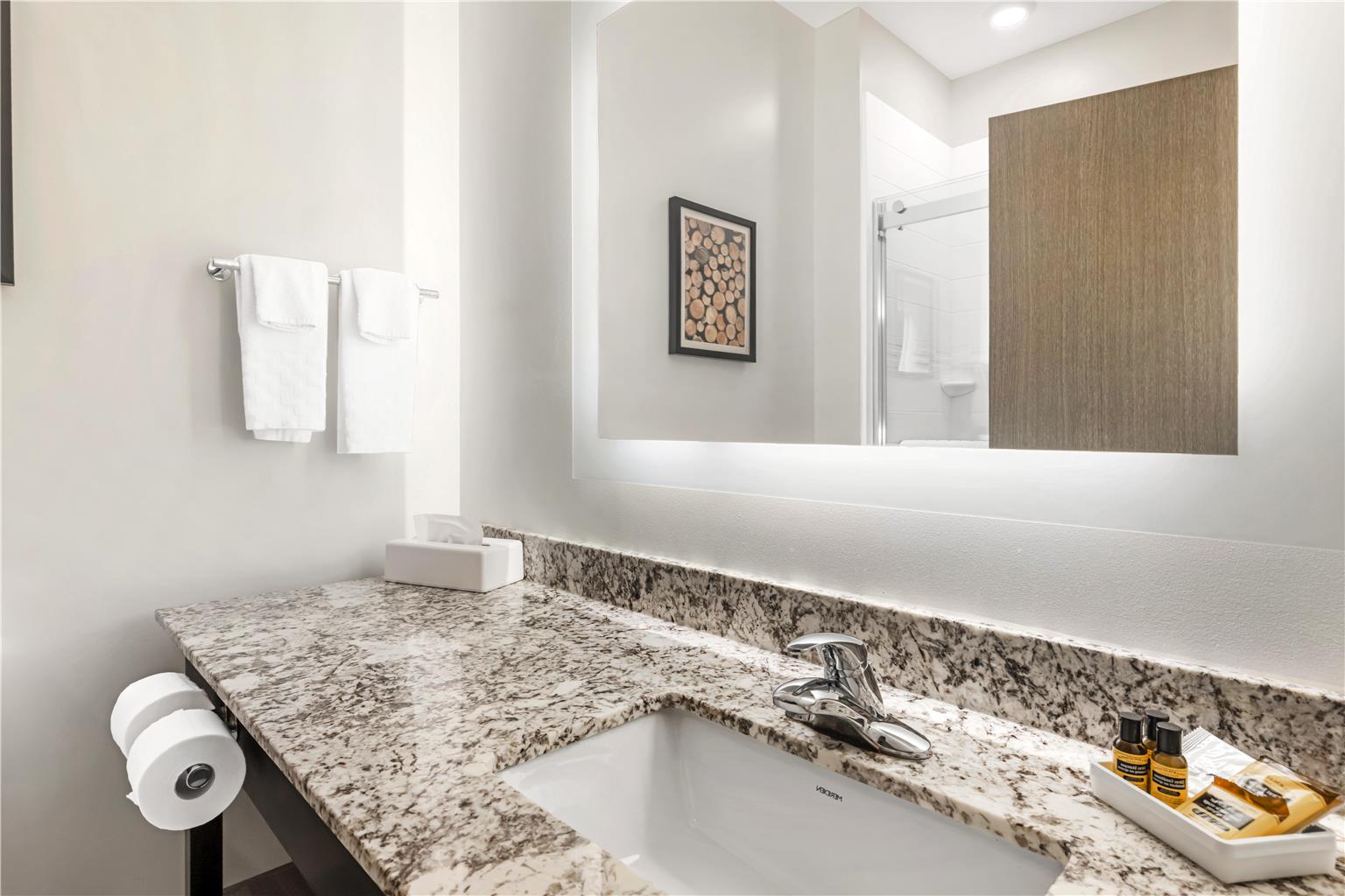 Best Western Plus Isanti - photo 45