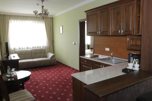 Hotel Slavia — Salonta — photo 3