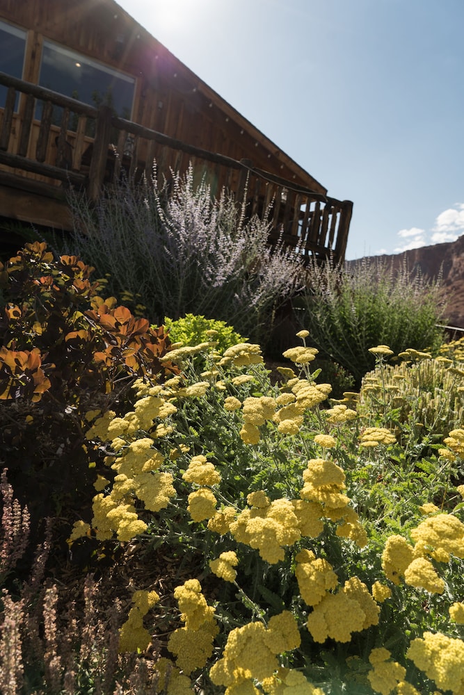 Red Cliffs Lodge - photo 54