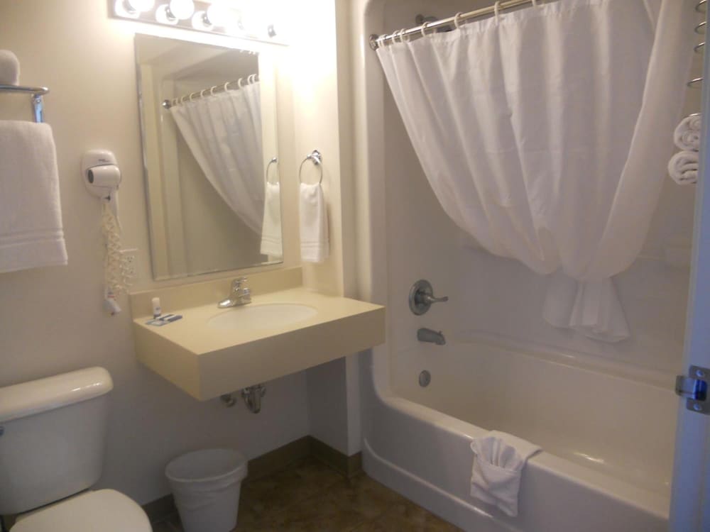 Coho Motel and Suites - photo 21