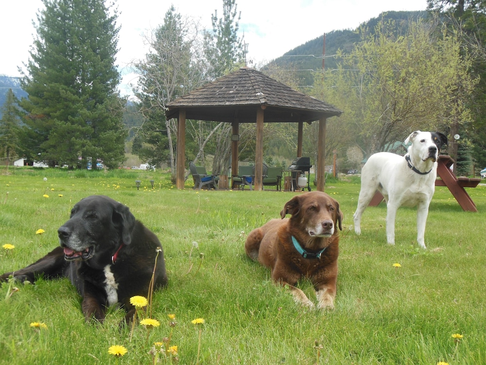 Clark Fork Lodge - photo 32
