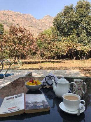 Hibiscus Valley Resort — Udaipur — photo 5