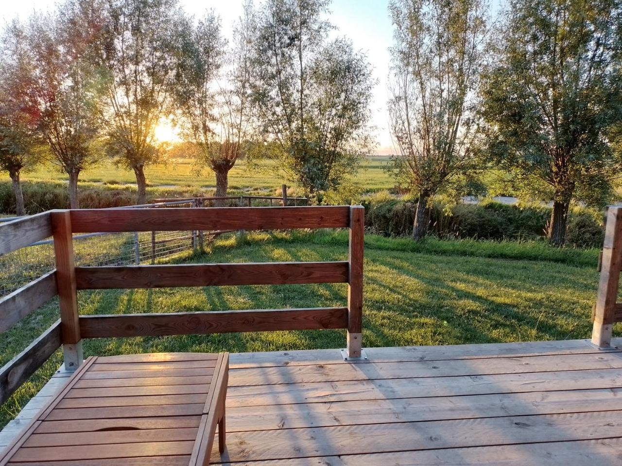 Glamping Weerribben — Scherpenzeel — photo 2