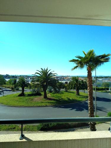 Studio Rdc Avec Terrasse Et Parking Prive 20014844 — Agde
