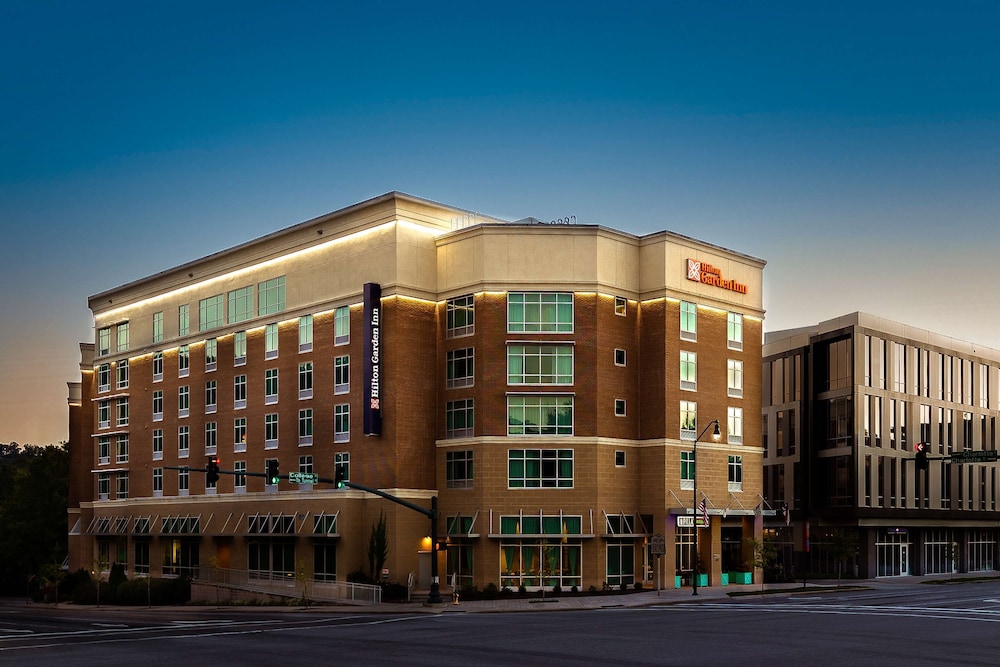Hilton Garden Inn Asheville Downtown - featured photo
