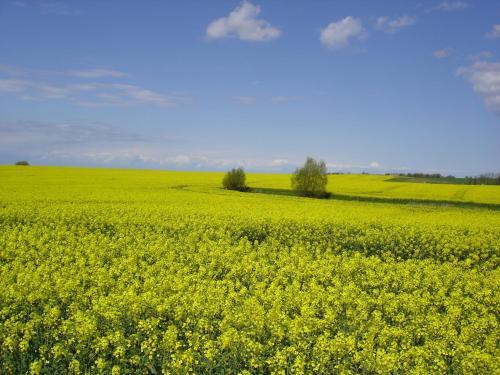 Ostseepension Tonart in Bastorf, Germany