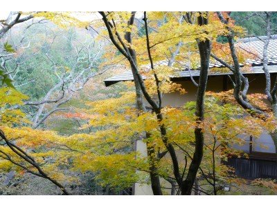 Tatsunoyasanso Satonoyu — 4-Star Luxury Hotel in Fukushima, Japan