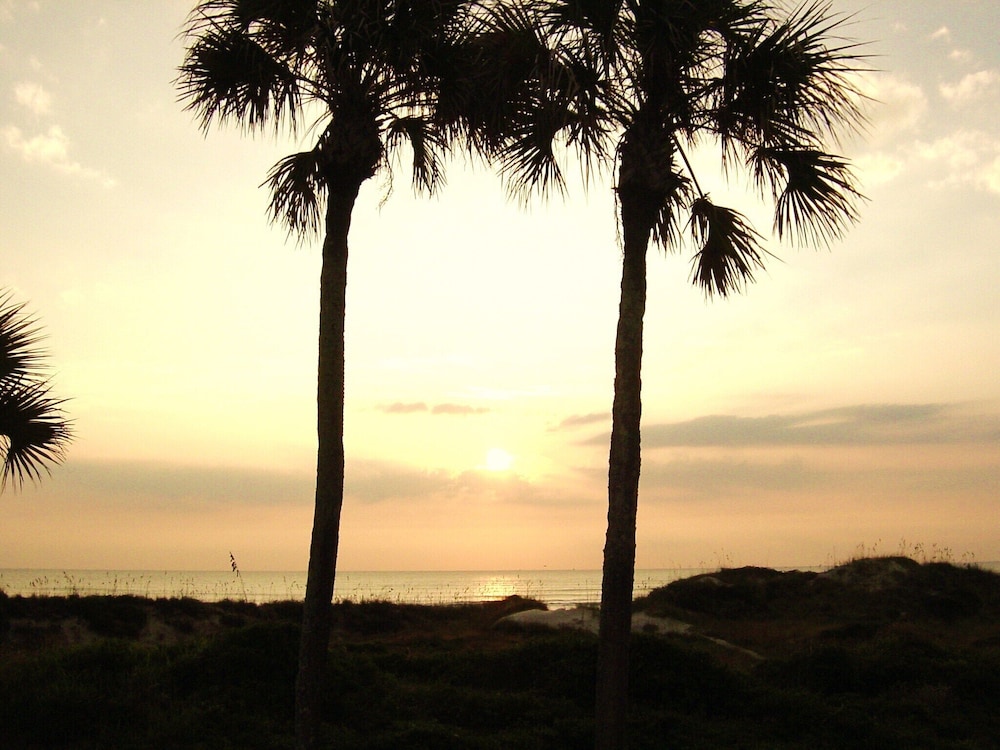 Sand Dollar I 504 - photo 40