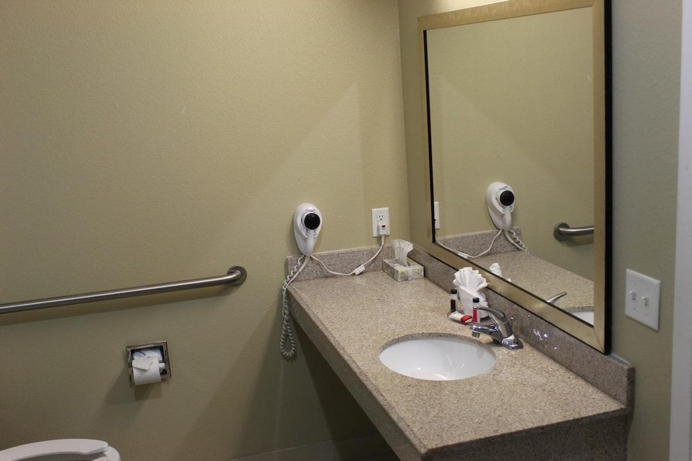 Horizon Inn & Suites Pearsall - photo 22