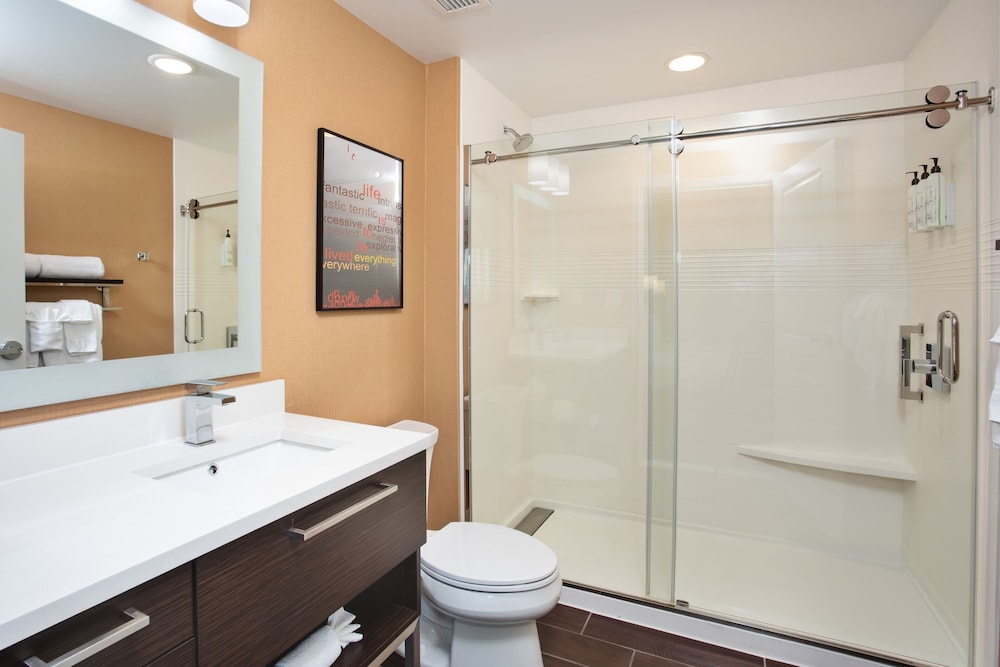 TownePlace Suites by Marriott Detroit Belleville - photo 34