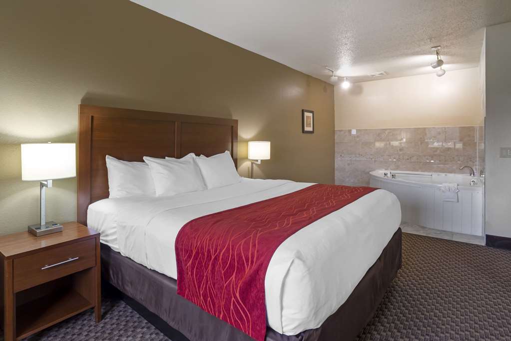 Comfort Inn Hobart Merrillville - photo 25
