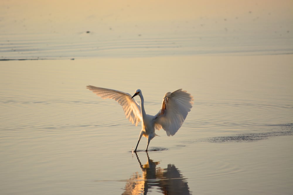The Saint Augustine Beach House - photo 32