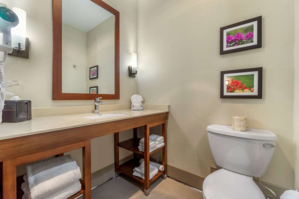 Comfort Inn & Suites Lakewood by JBLM - photo 11