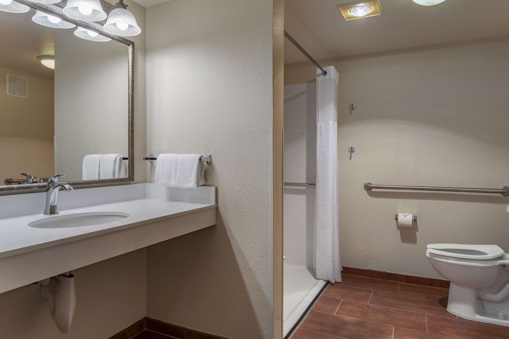 Best Western Plus Royal Oak Hotel - photo 22
