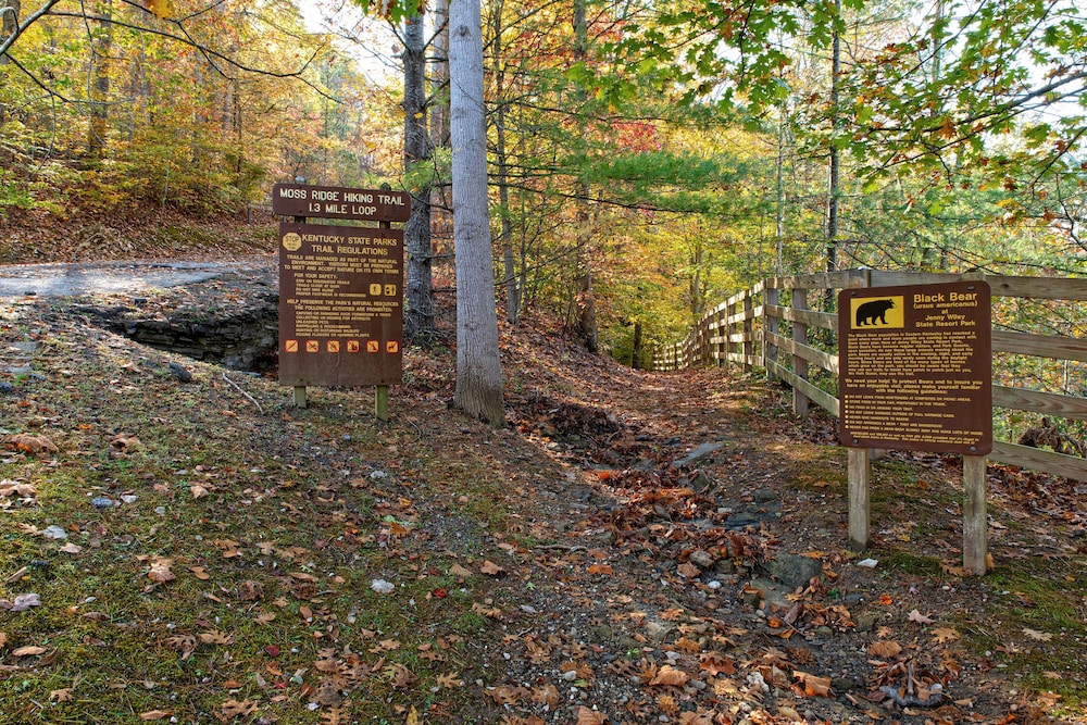 Jenny Wiley State Resort Park - photo 26