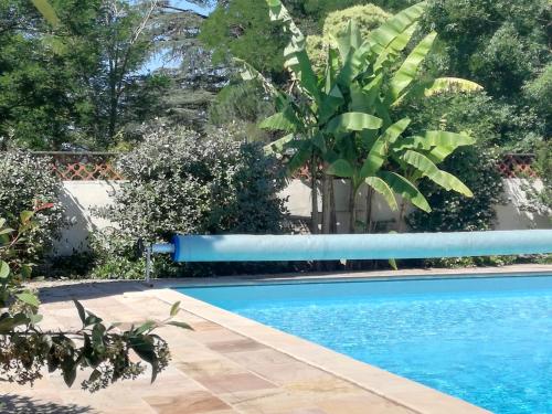 Les Lamas de la Jinolié in Toulouse, France