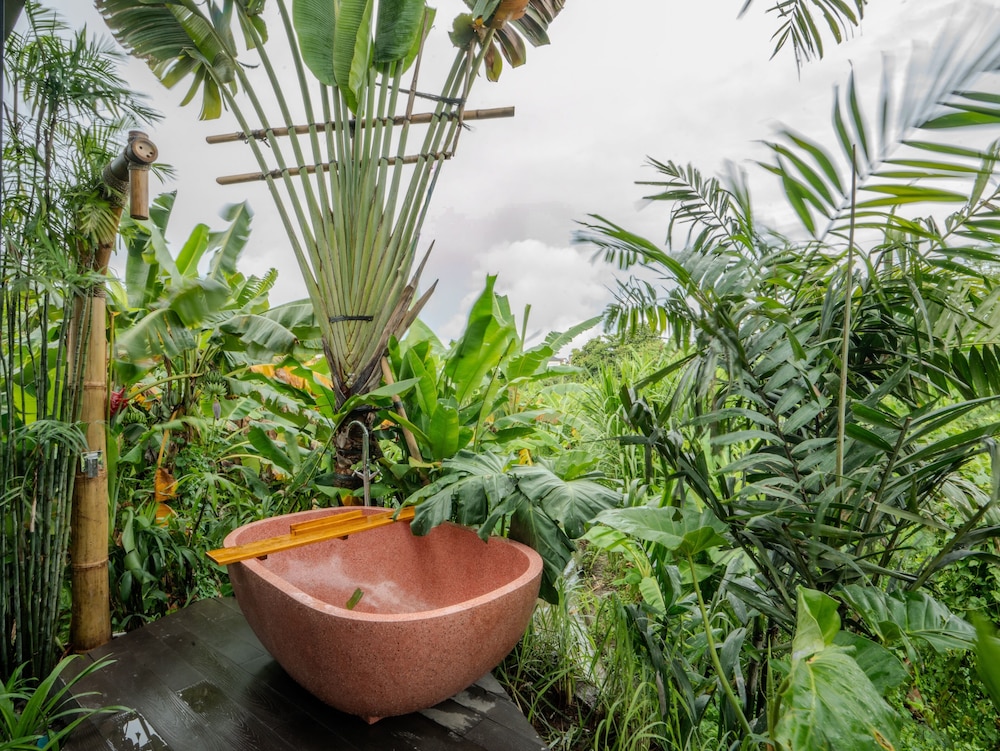 Patha - carbon neutral hotel in Canggu