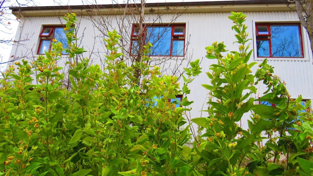 Kálfafellsstaður Guesthouse