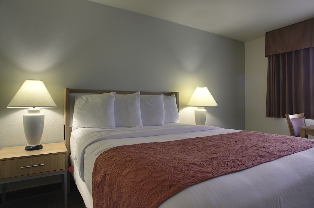 Aladdin Inn & Suites - photo 8