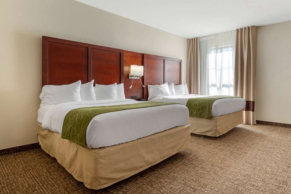Comfort Suites Piedmont Greenville South - photo 14