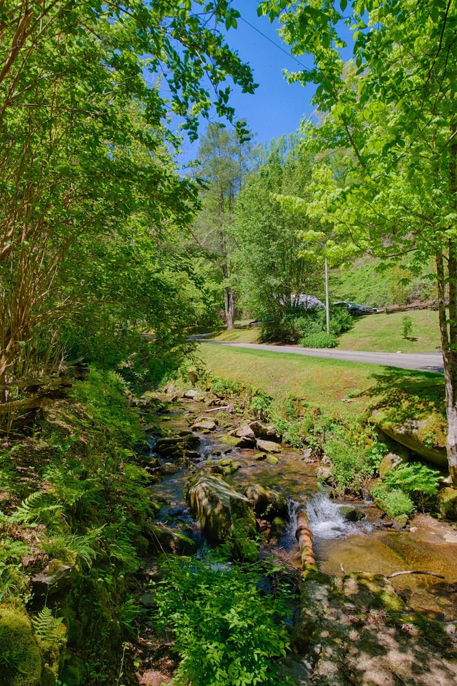 Historic Tapoco Lodge Resort - photo 151
