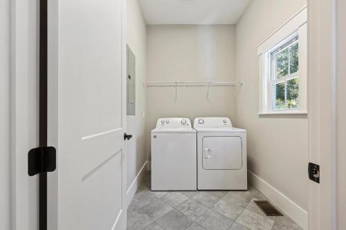 19 Sand Dollar - photo 64